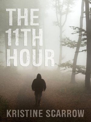 cover image of The 11th Hour